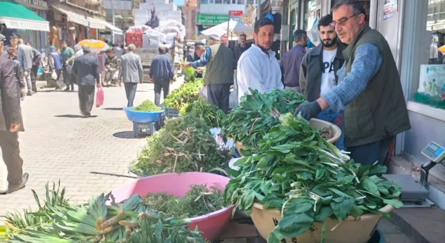 Van'da Şifa Deposu Yöresel Otlar Tezgahlarda! Uçkun'a Yoğun İlgi