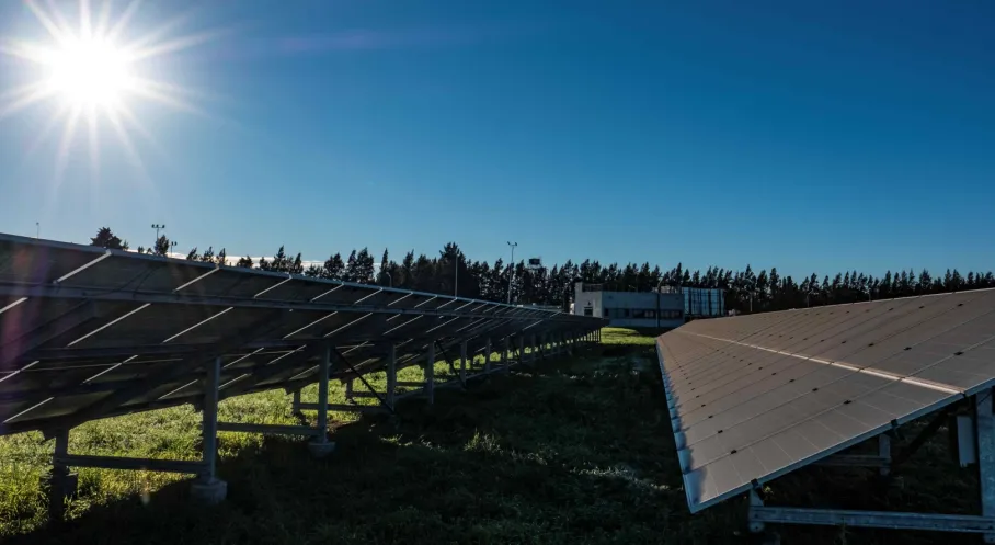 WWF-Türkiye'den Yeşil Enerji Dönüşümü Çağrısı