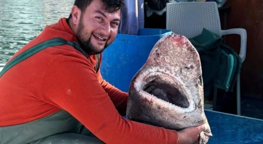 Yalova'da Şaşkınlık Yaratan An: Balıkçı 4 Metrelik Köpek Balığı Yakaladı!