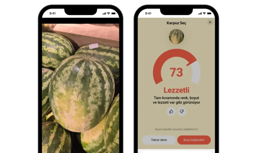 Yapay Zekâ Karpuz Seçiminde Devrim Yaratıyor! İşte Yandex'in Yeni Özelliği