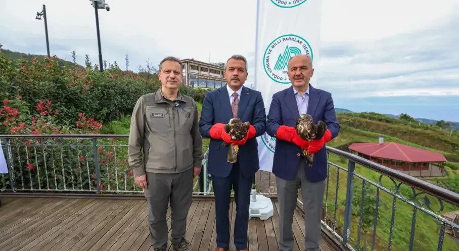 Yaralı arı şahinleri Rize’de doğaya salındı