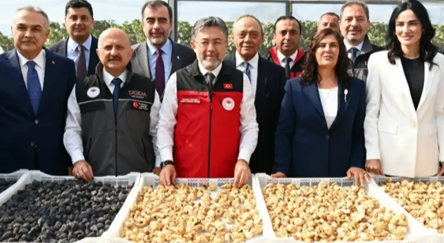 Yumaklı Açıkladı: 2026’da 94 Bin Ton Kuru İncir Rekoltesi Bekleniyor