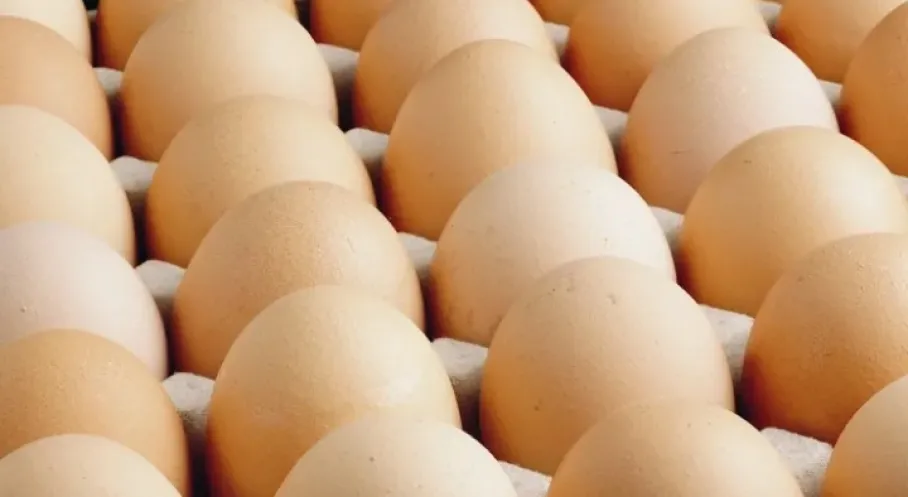 Son Dakika: Yumurta Tebliğinde Büyük Değişiklik! Tüketim Tarihi Zorunlu Oldu