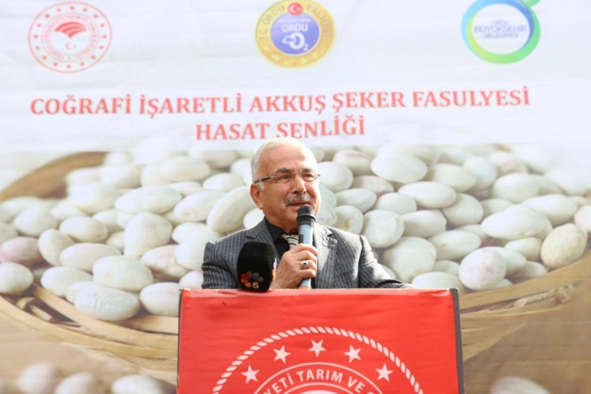 İlgili Haber
