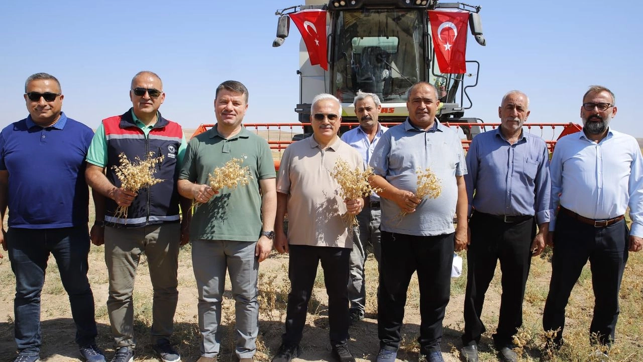 İlgili Haber