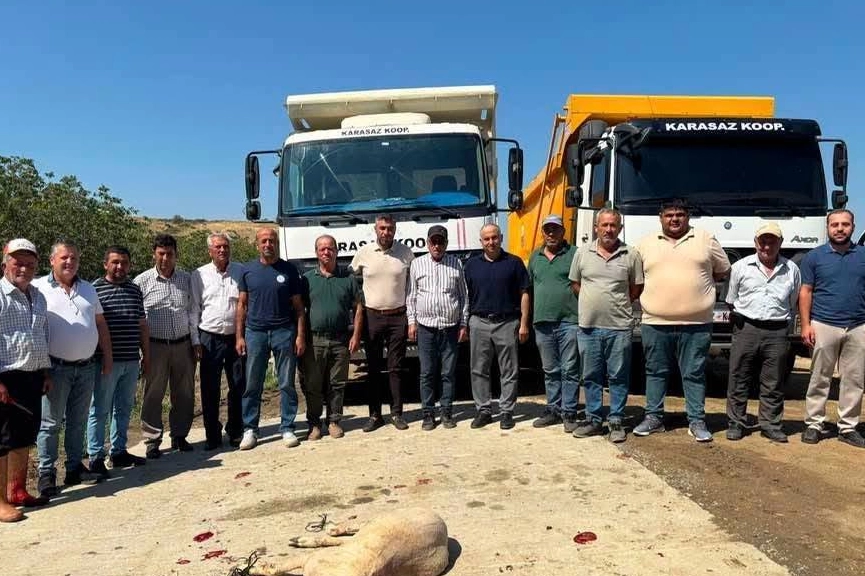 Benzer Haber