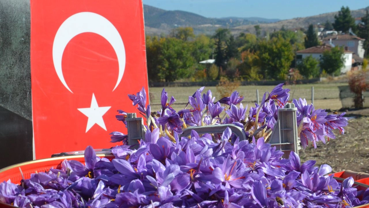 İlgili Haber