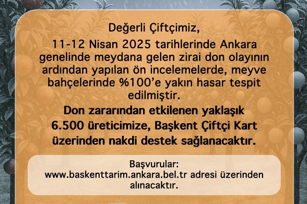 İlgili Haber