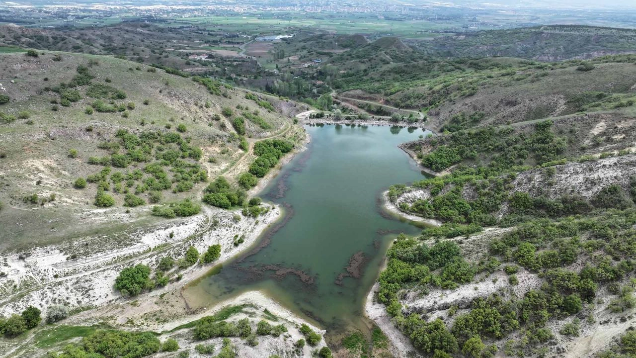 Benzer Haber