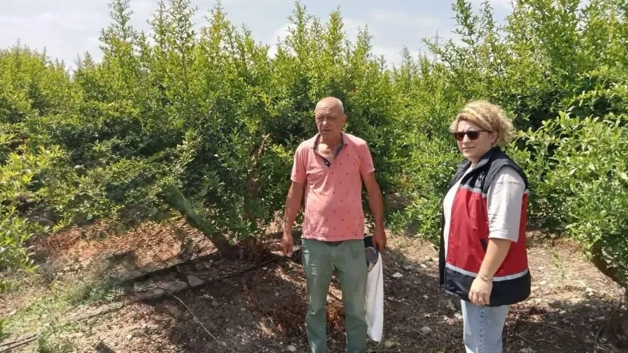 İlgili Haber