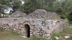 Benzer Haber