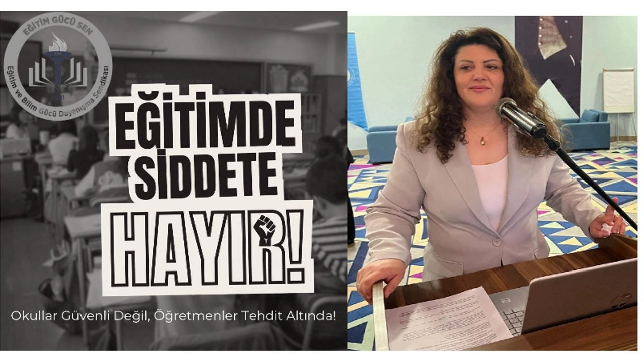 Benzer Haber