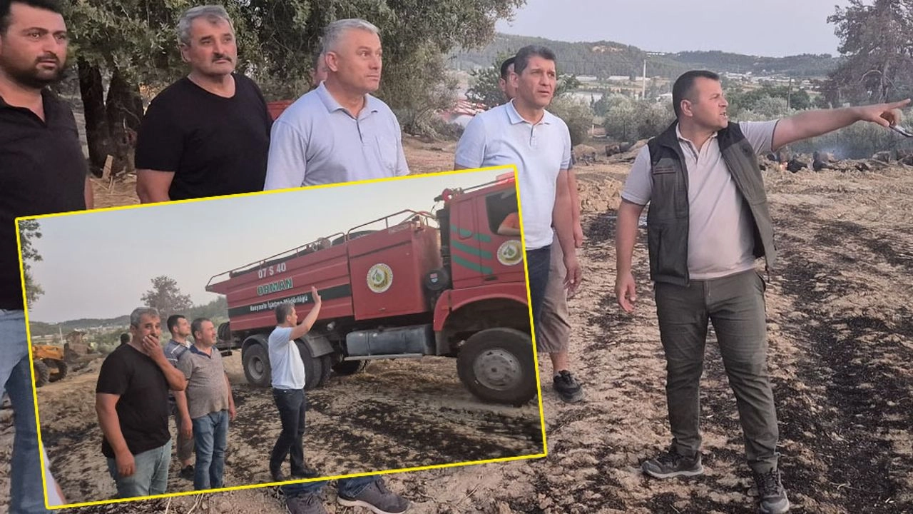 Benzer Haber