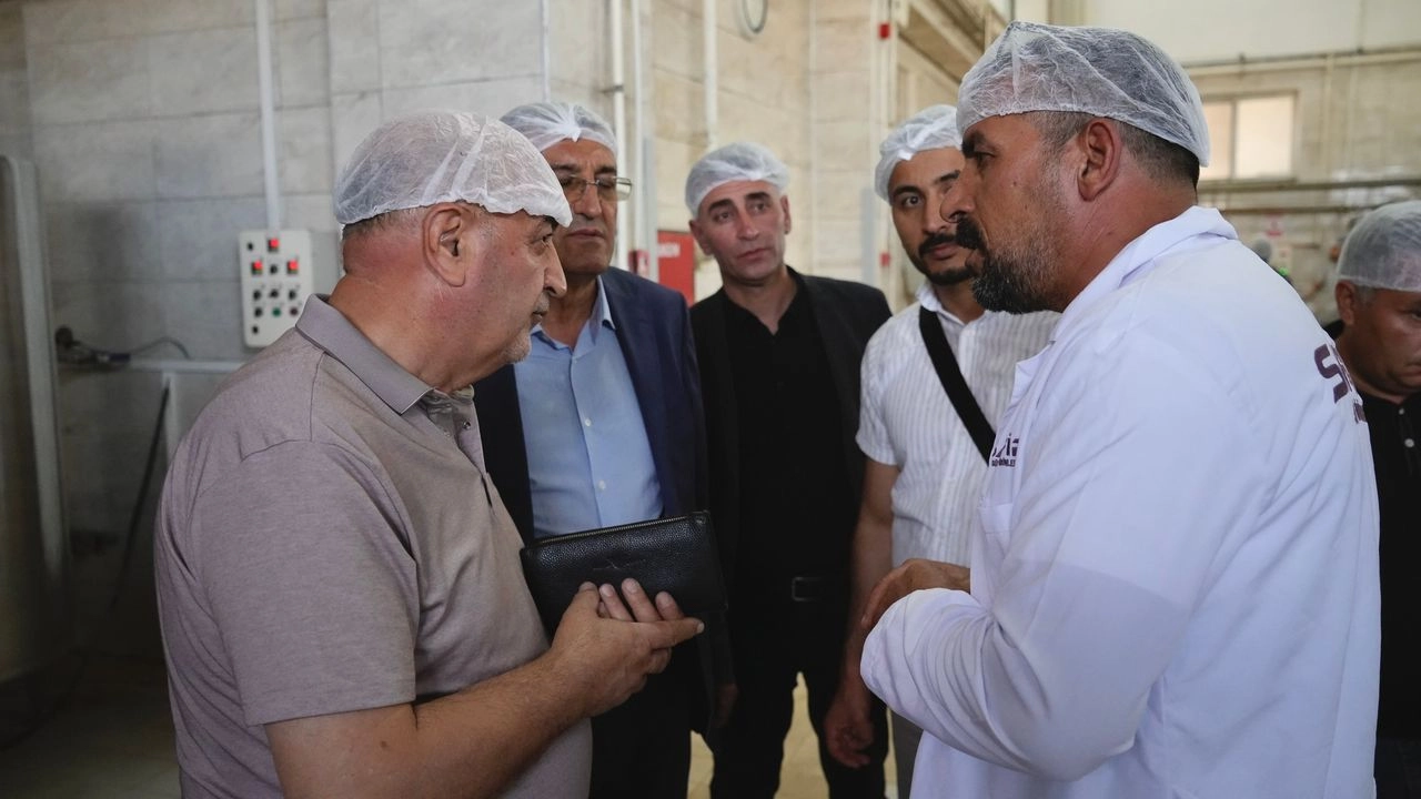 Benzer Haber