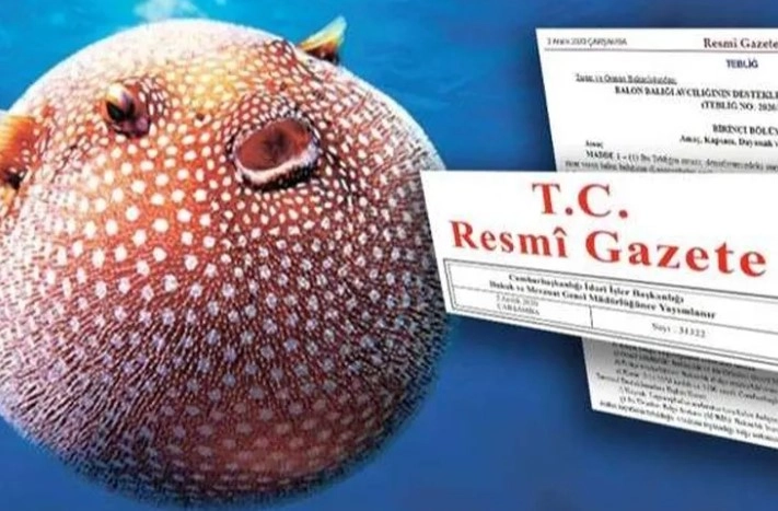 İlgili Haber