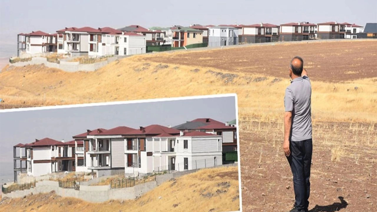 Benzer Haber