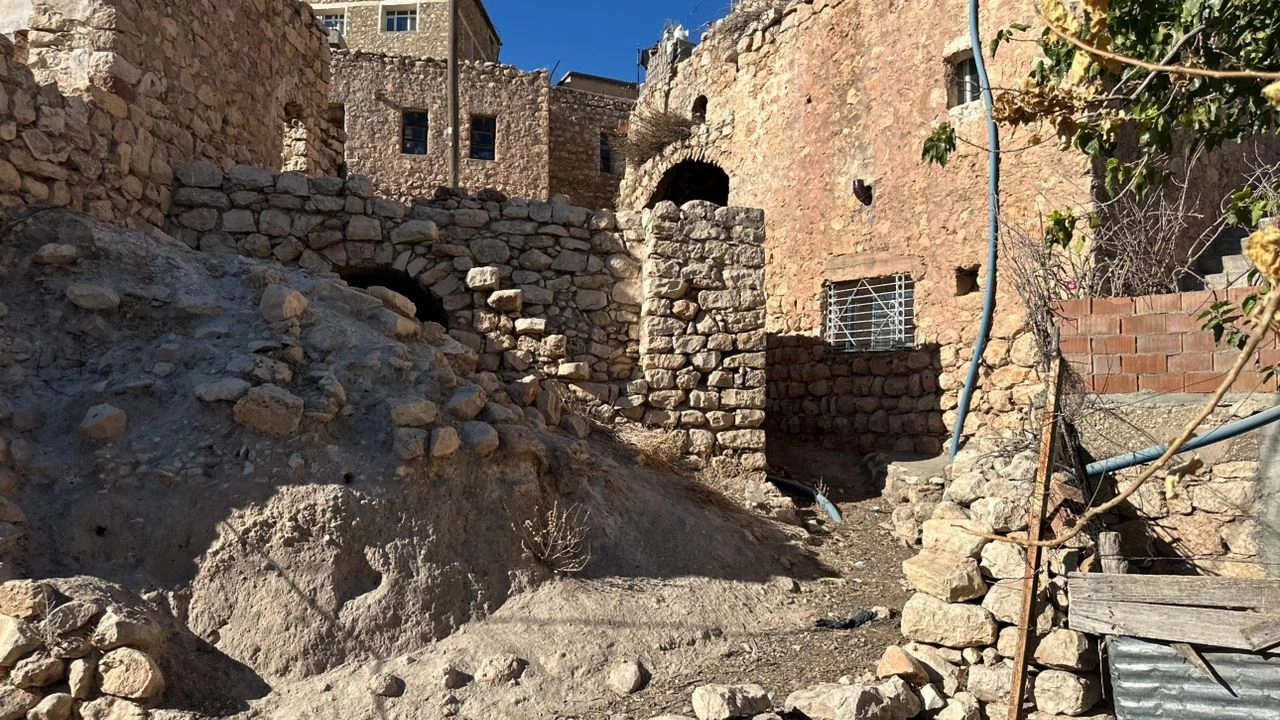 Benzer Haber