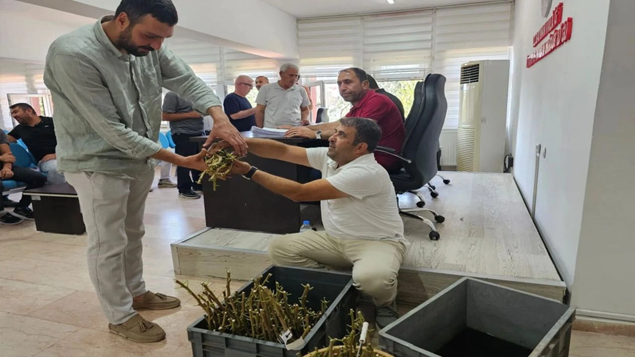 Benzer Haber