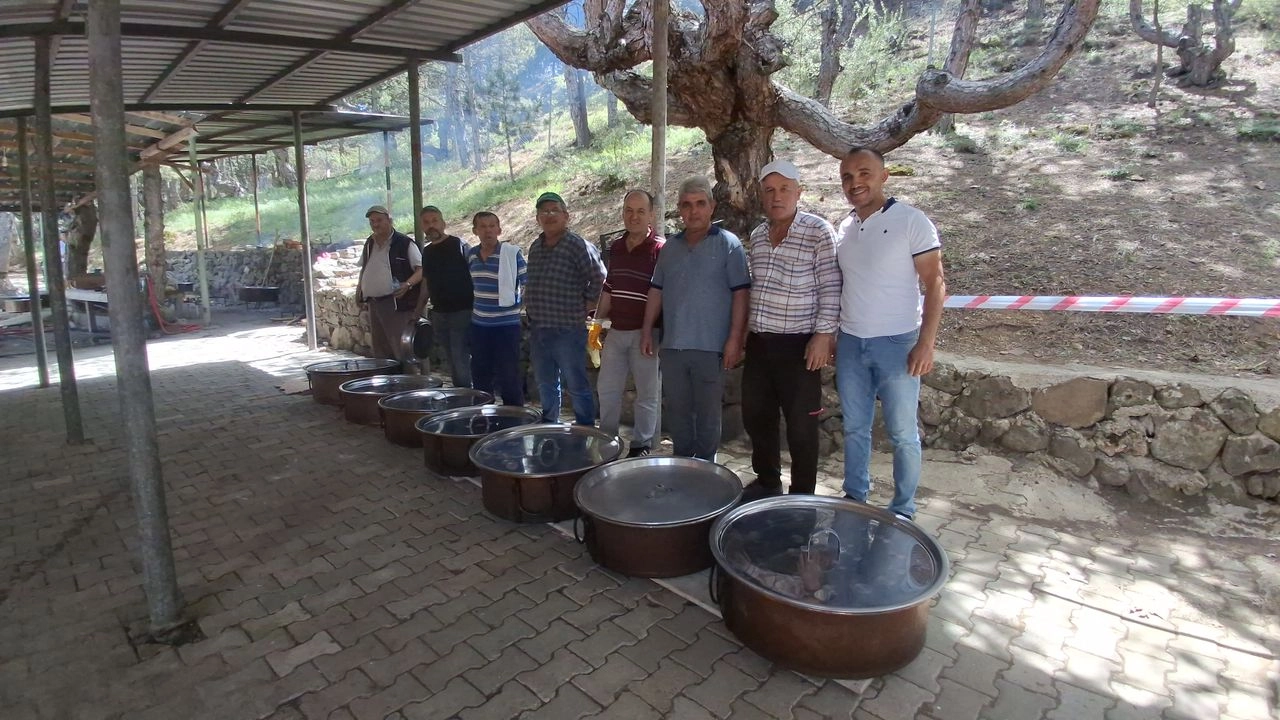 Benzer Haber