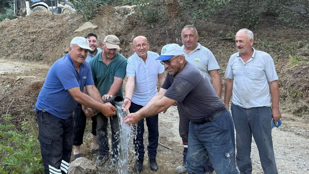 Benzer Haber