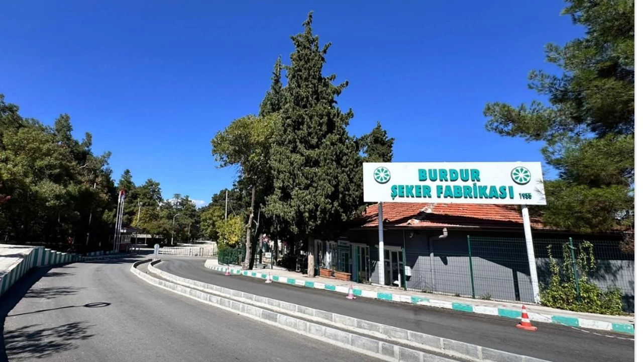 Benzer Haber