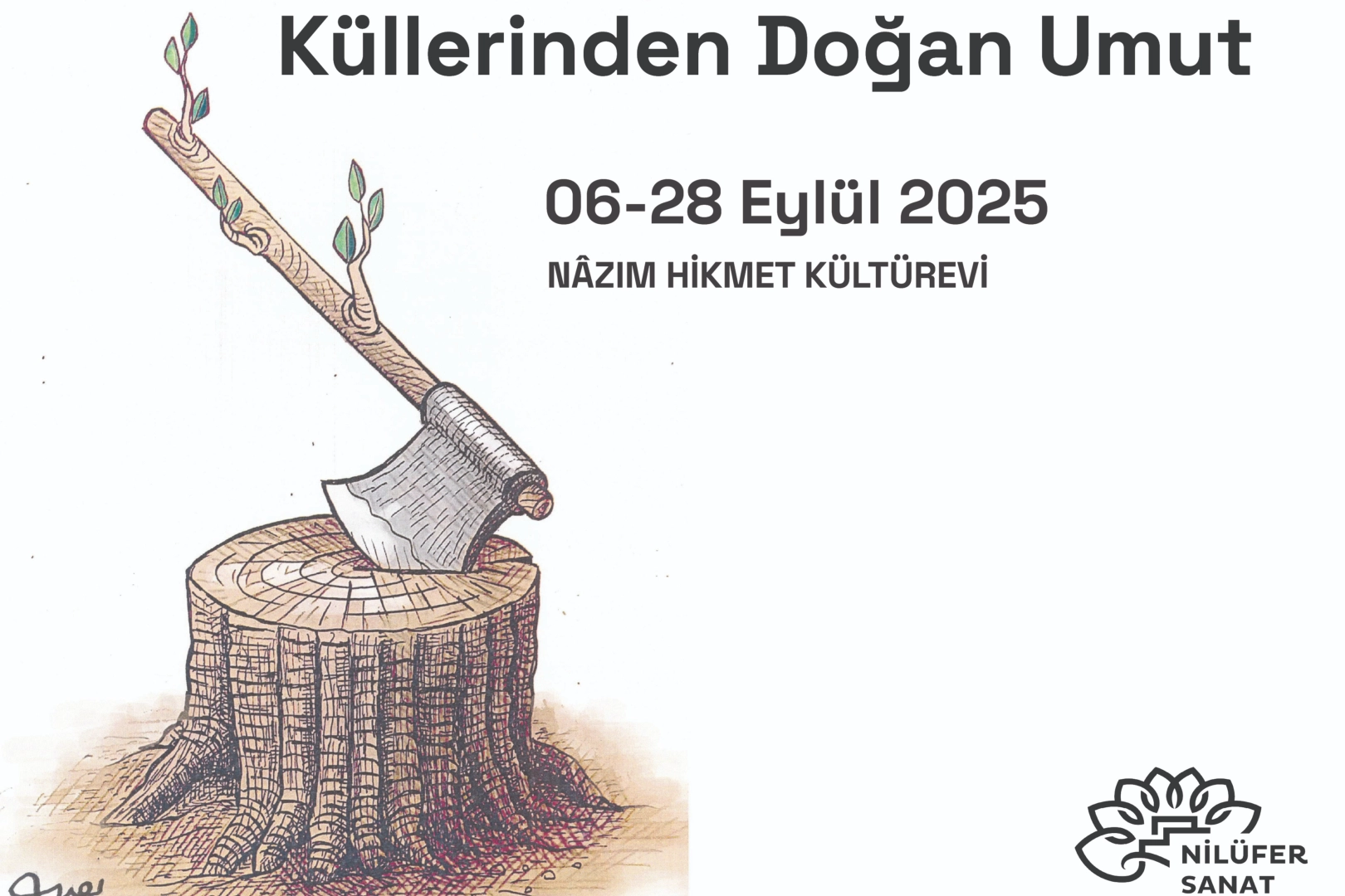 Benzer Haber