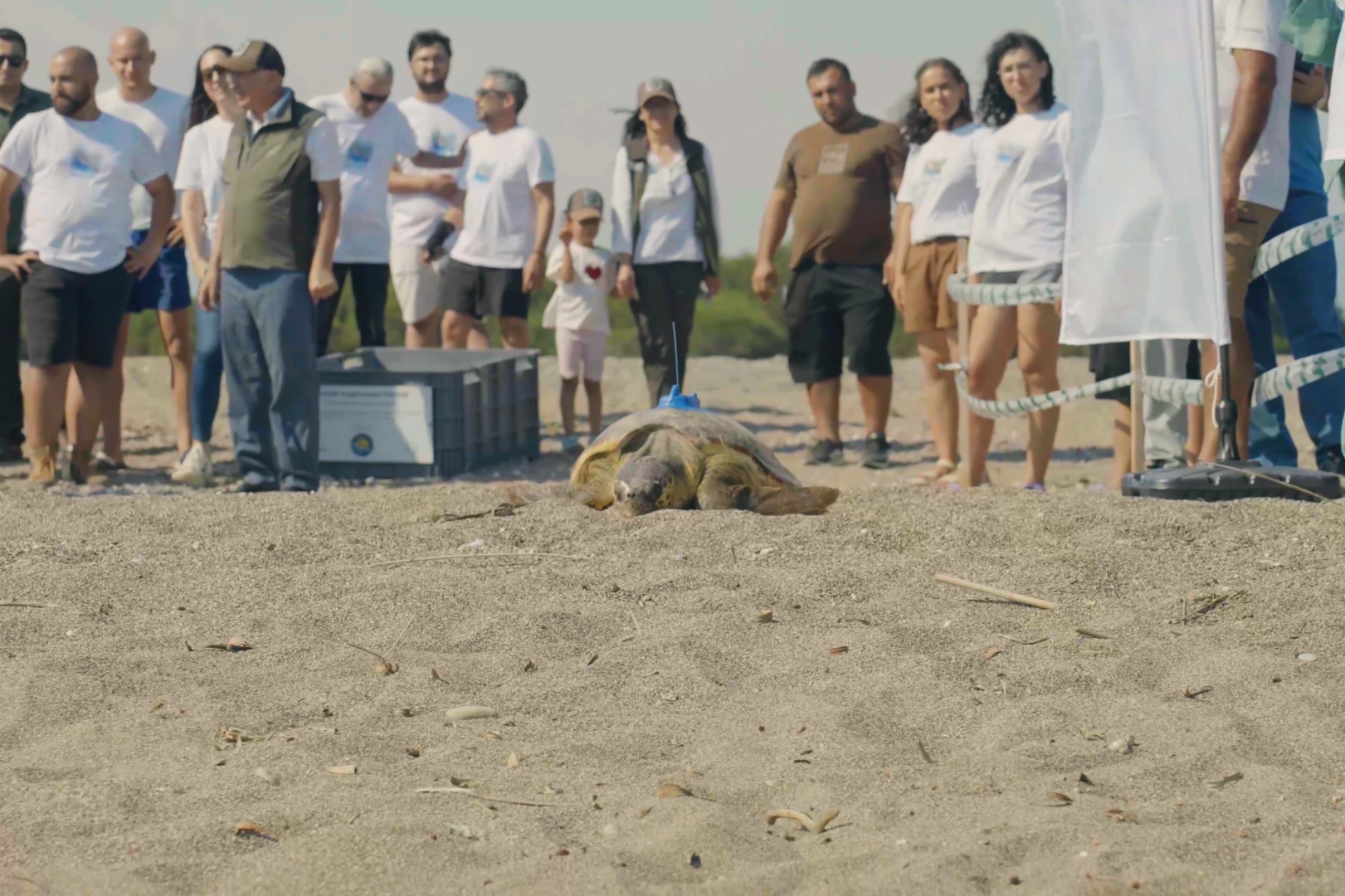 İlgili Haber