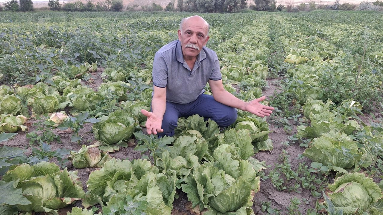 İlgili Haber