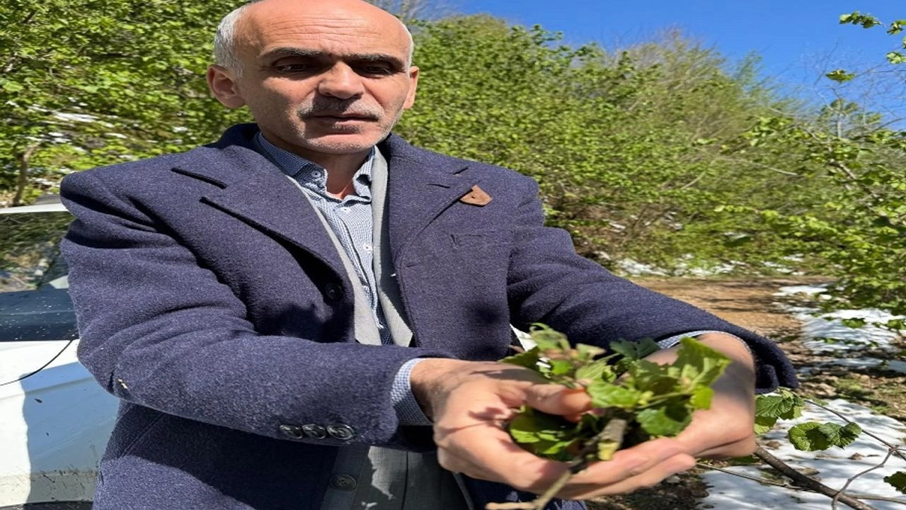 İlgili Haber