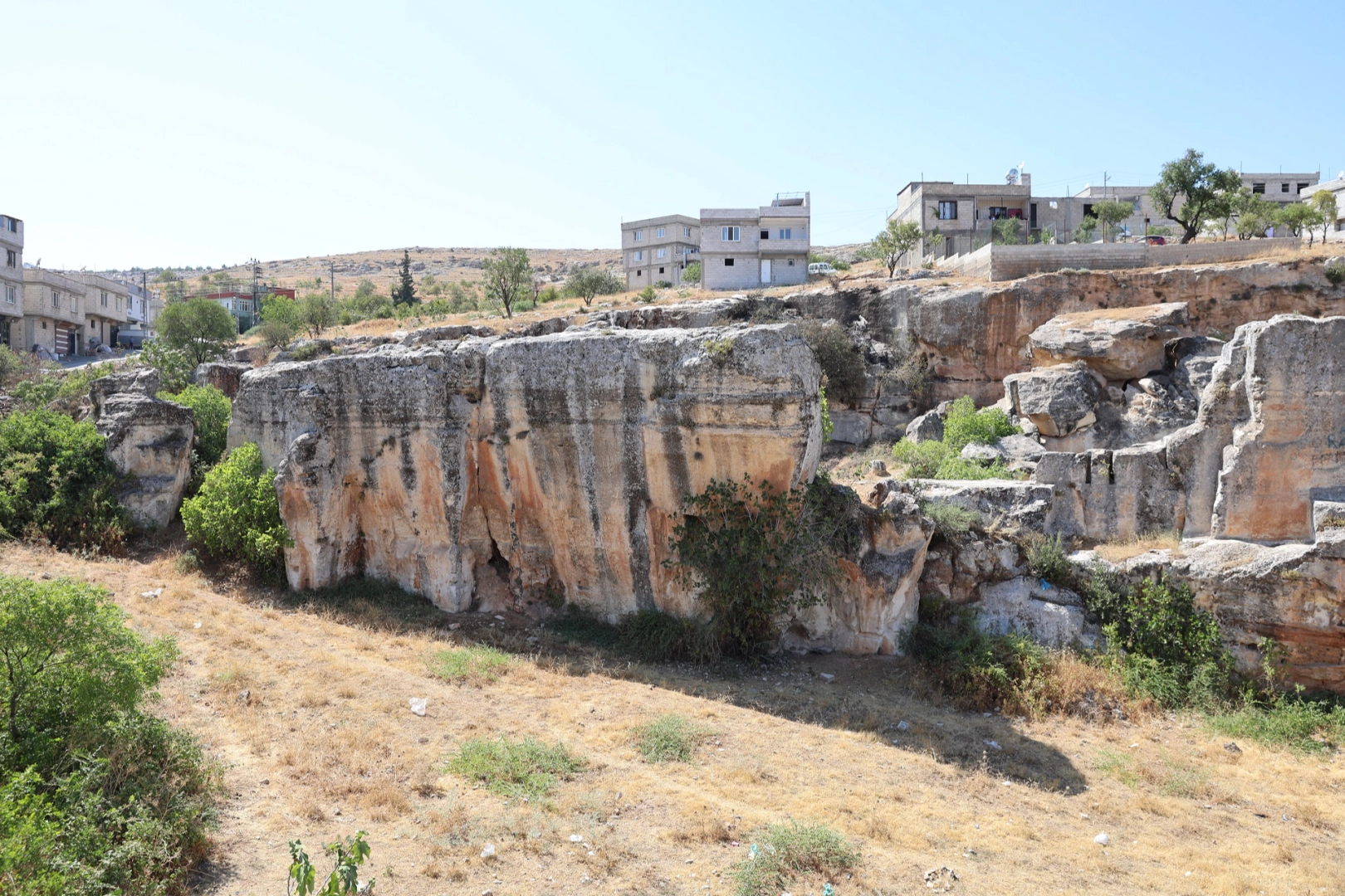 Benzer Haber