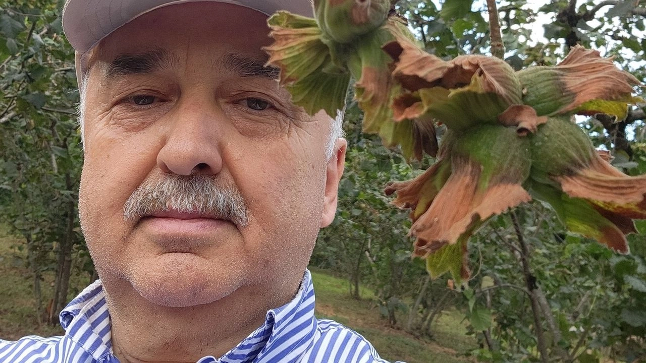 Benzer Haber