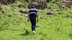 Benzer Haber