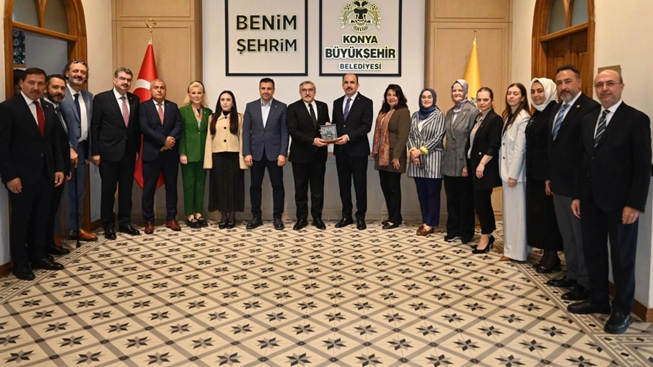 Benzer Haber