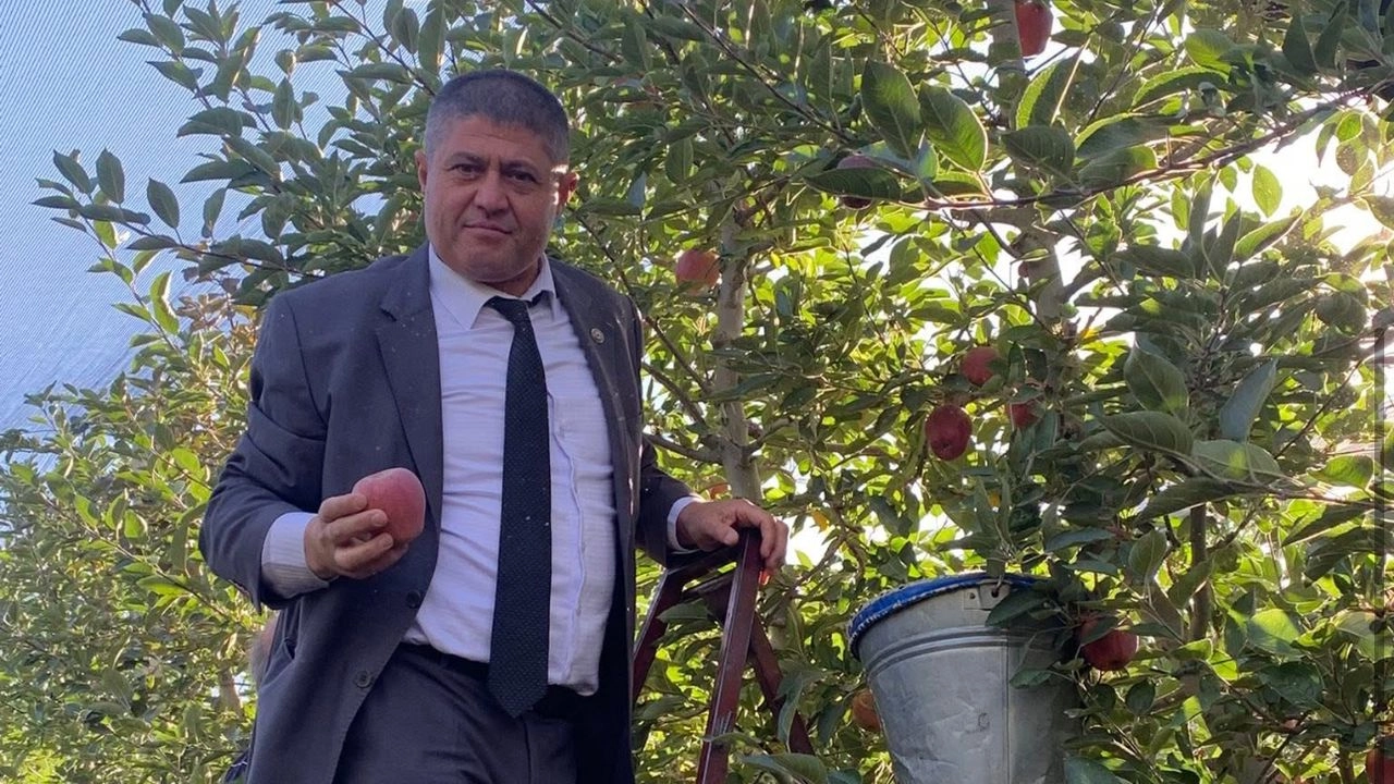 Benzer Haber