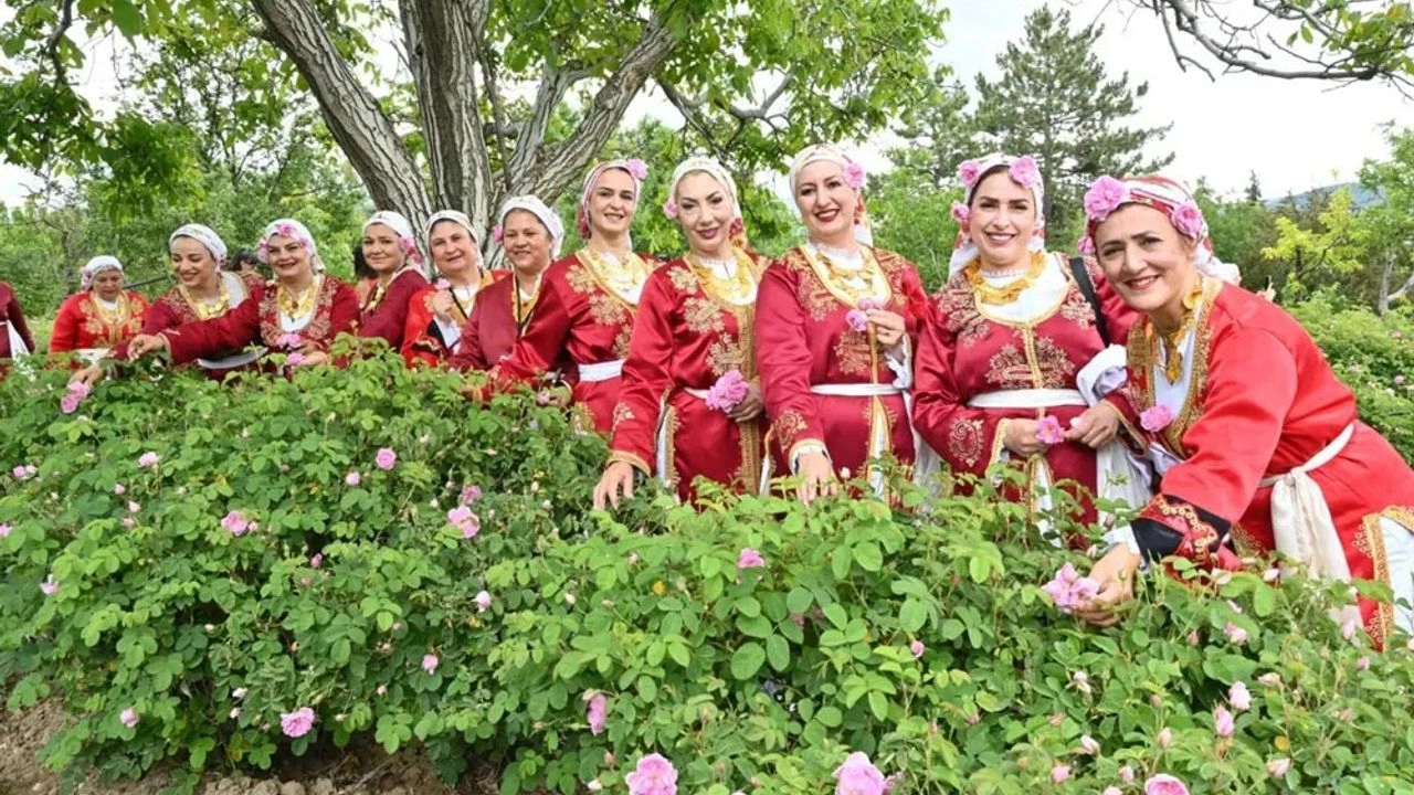 Benzer Haber