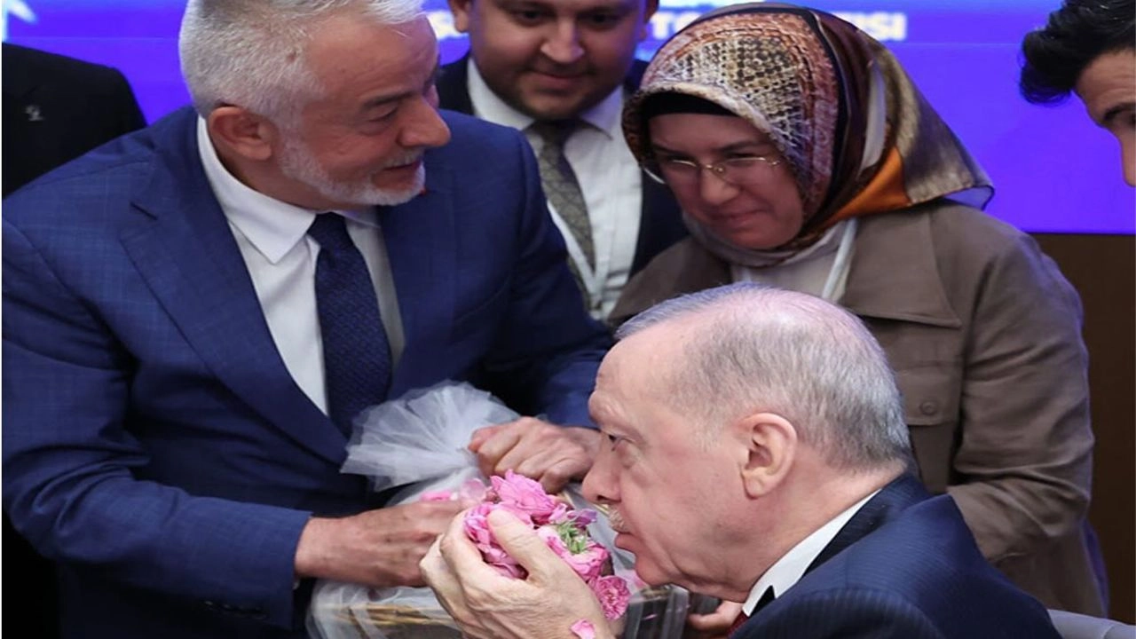 Benzer Haber