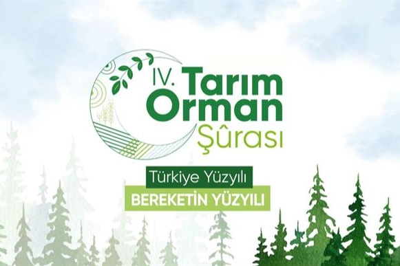 İlgili Haber