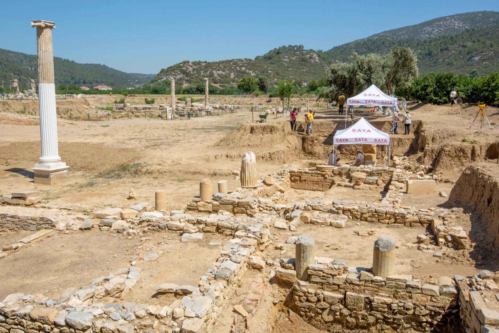 Benzer Haber