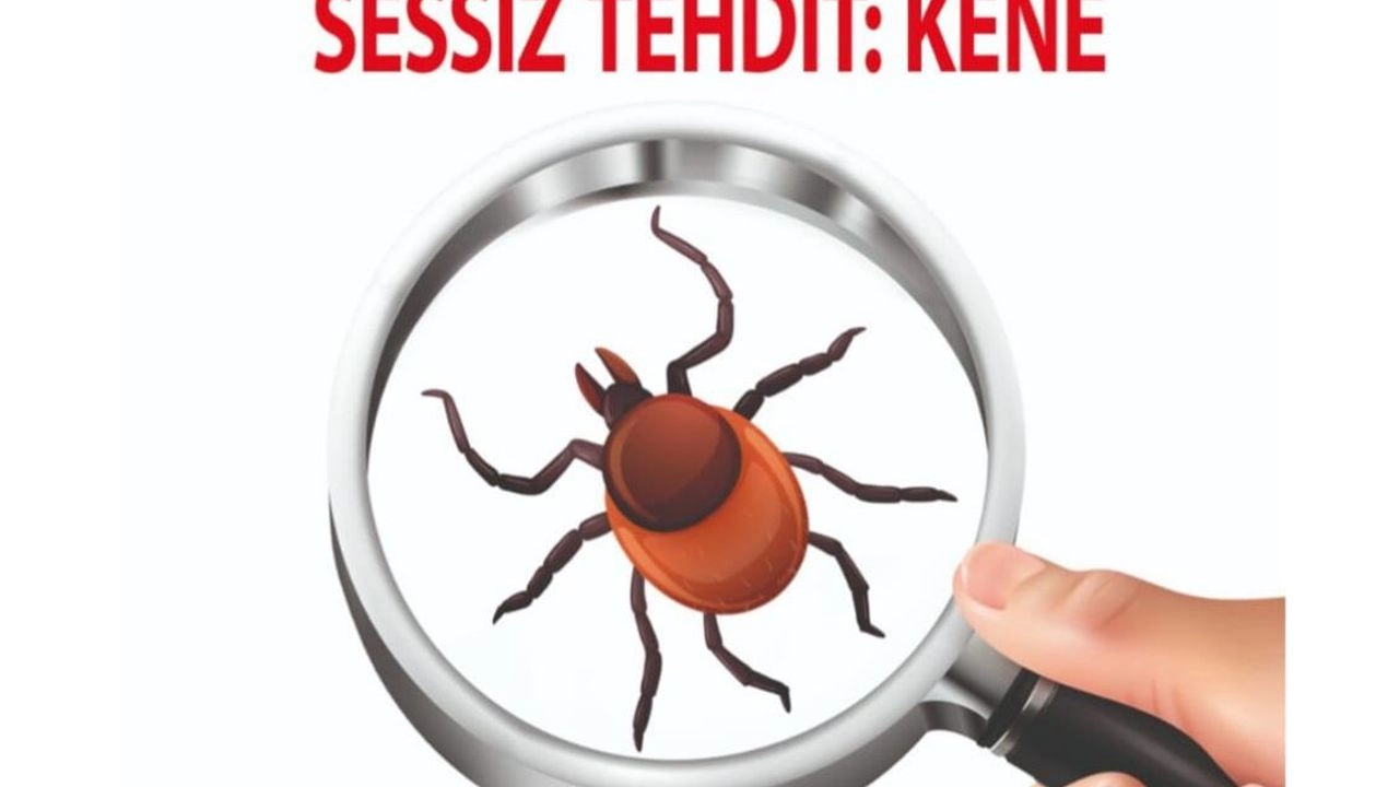 İlgili Haber