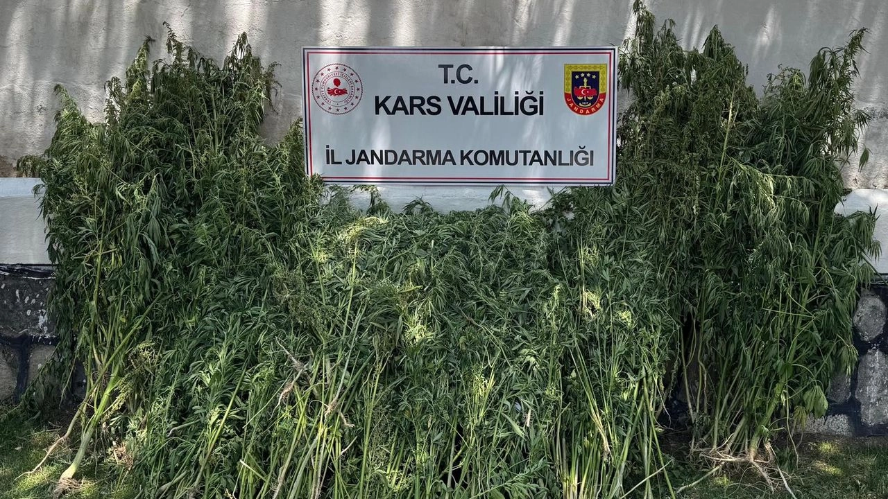 İlgili Haber