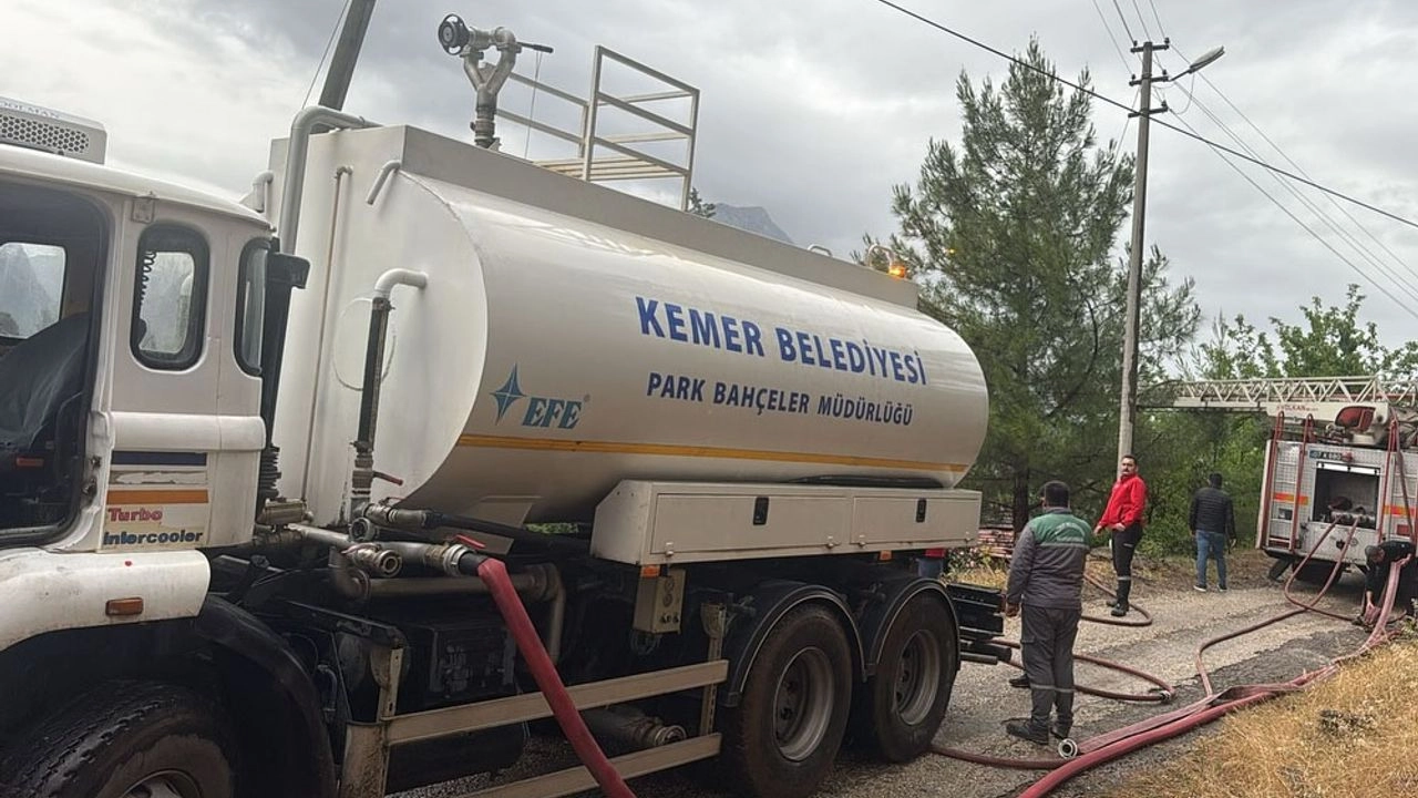 Benzer Haber