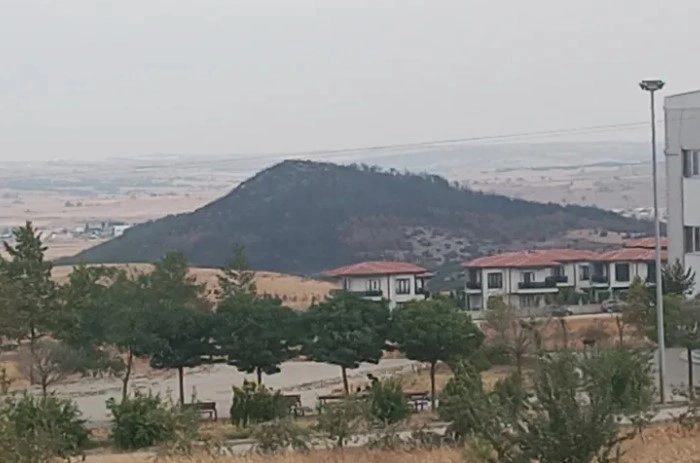 Benzer Haber