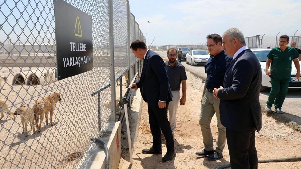 İlgili Haber