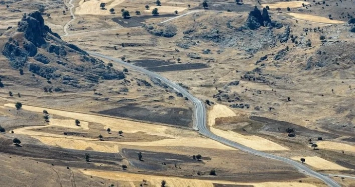 Benzer Haber