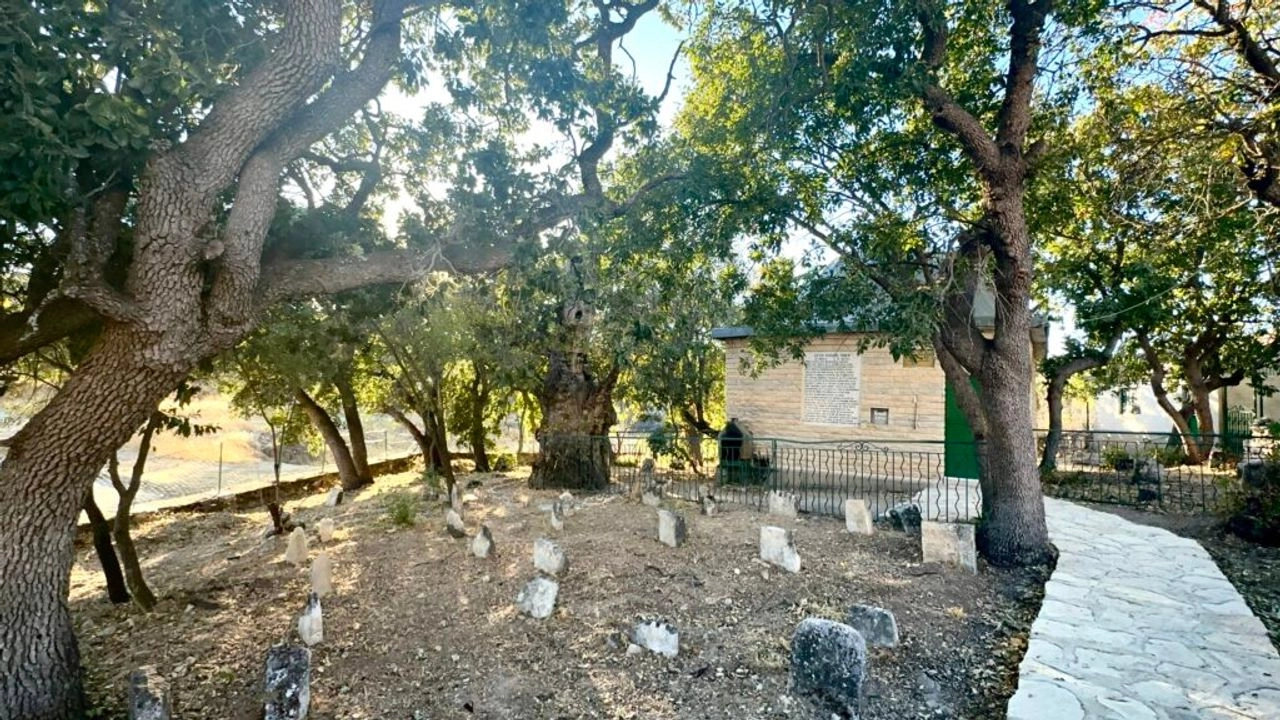 Benzer Haber