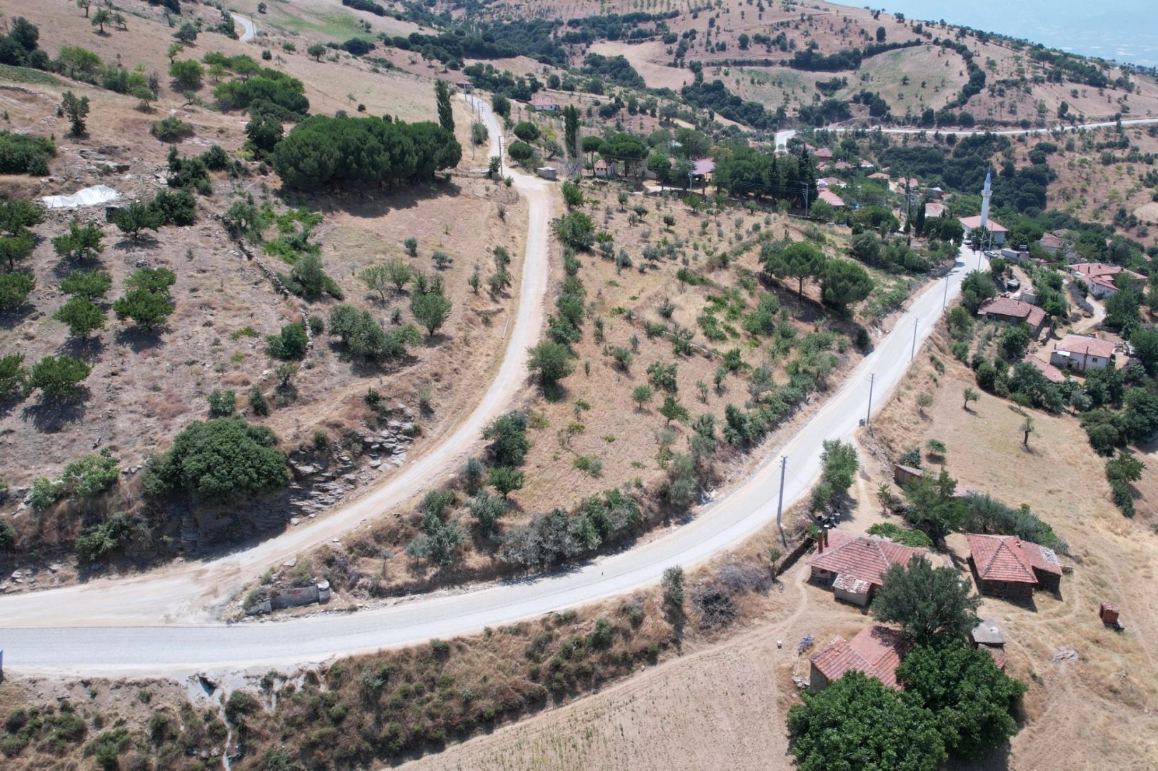 Benzer Haber
