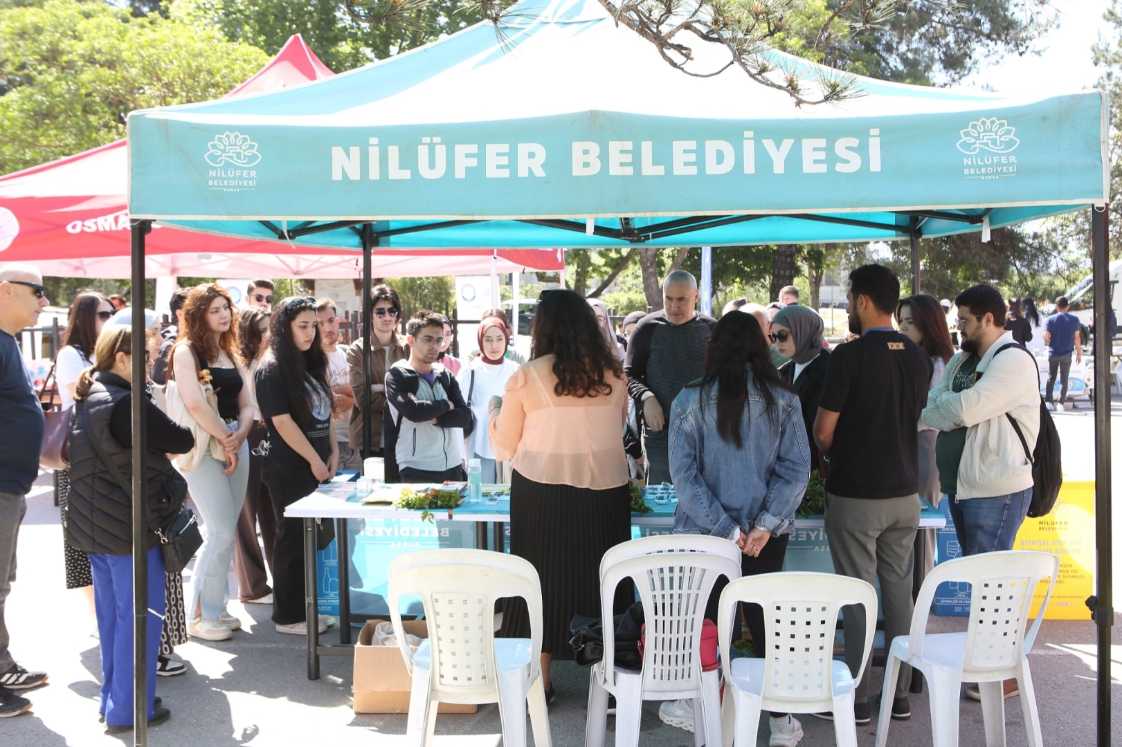 Benzer Haber