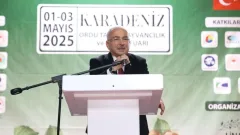 Benzer Haber