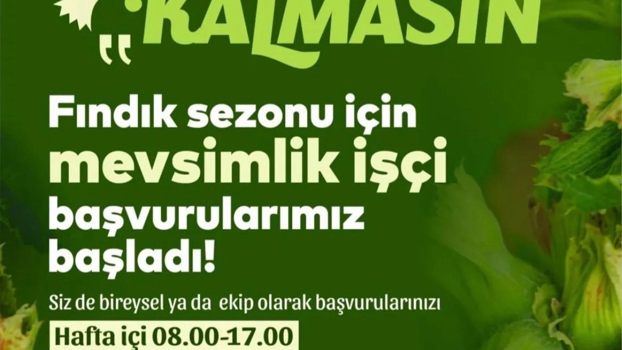 İlgili Haber