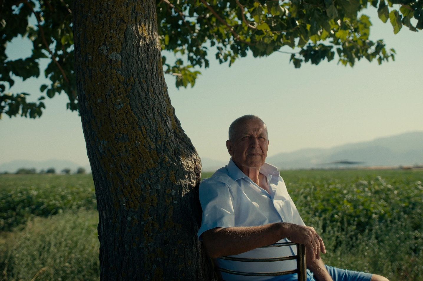 Benzer Haber
